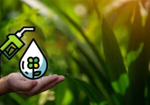 bioenergi