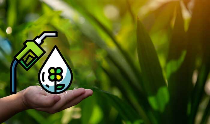 bioenergi