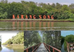 mangrove karangsong