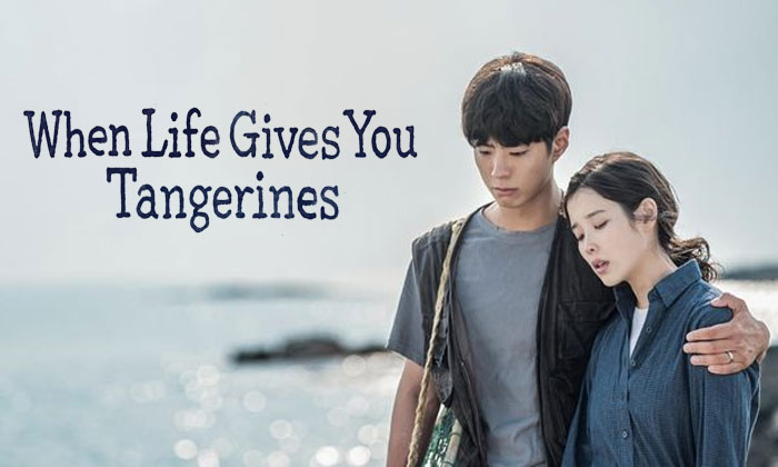 when life gives you tangerines