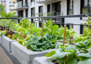 Urban Farming